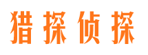 武城私家调查公司